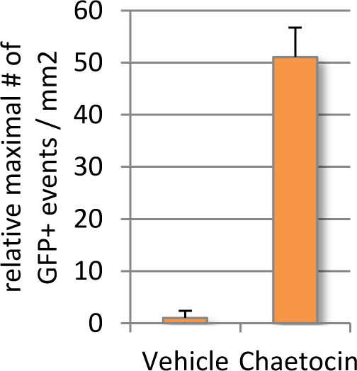 article fig 4 - relative material