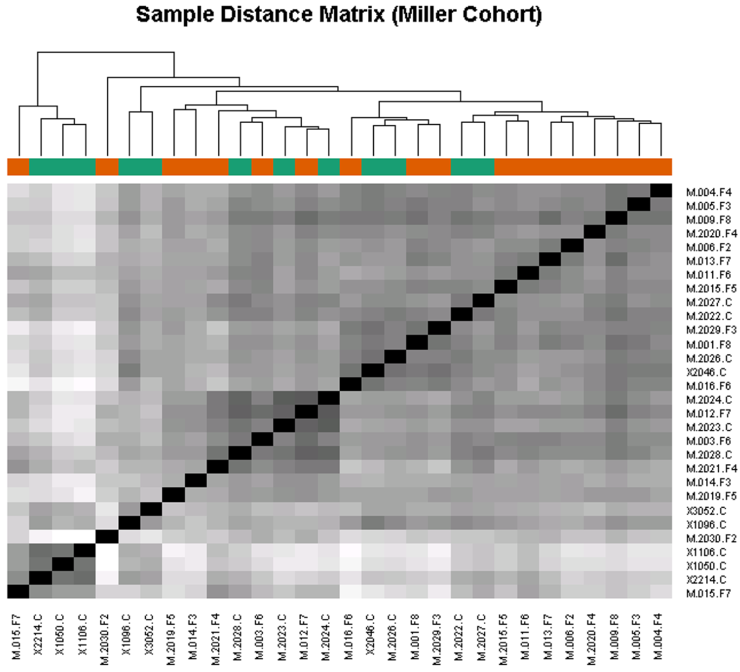 Progress Report Serum biomarkers 2a